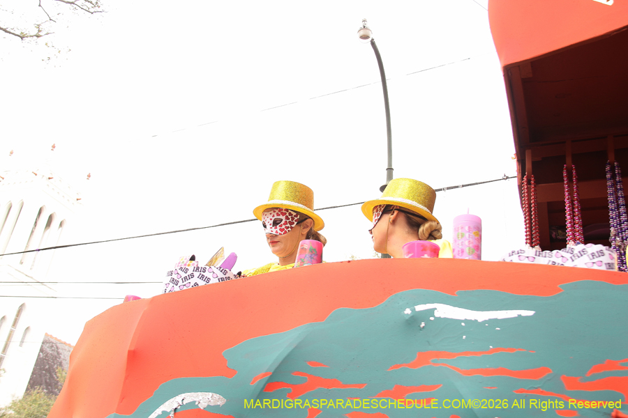 Krewe-of-Iris-2026-6947