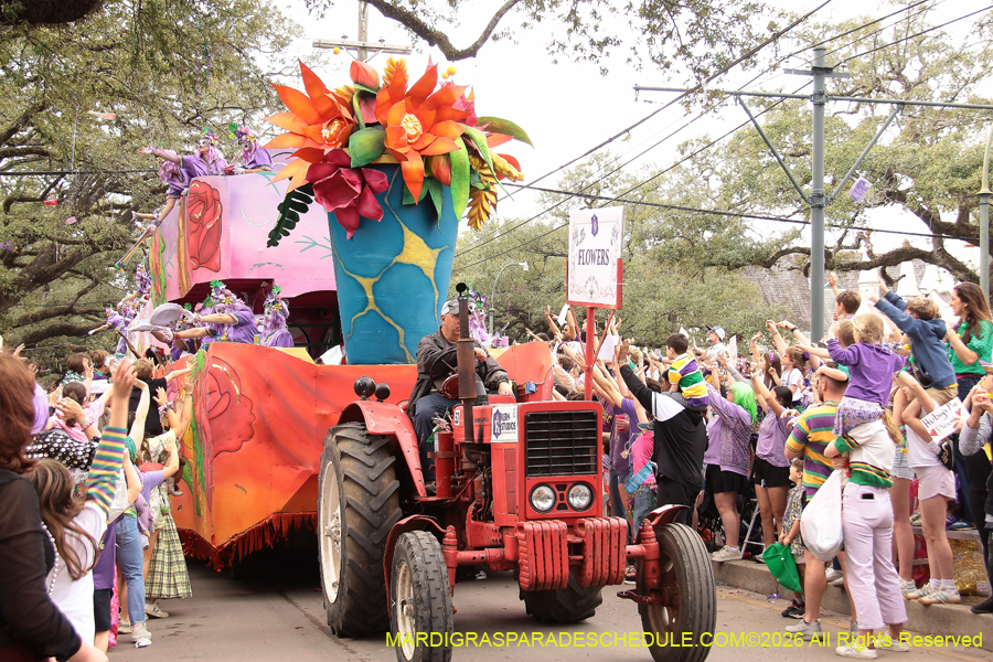 Krewe-of-Iris-2026-6965