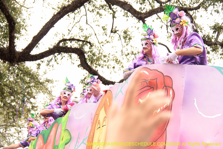 Krewe-of-Iris-2026-6966