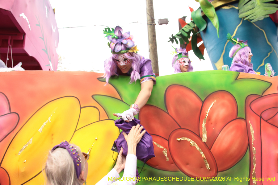 Krewe-of-Iris-2026-6967
