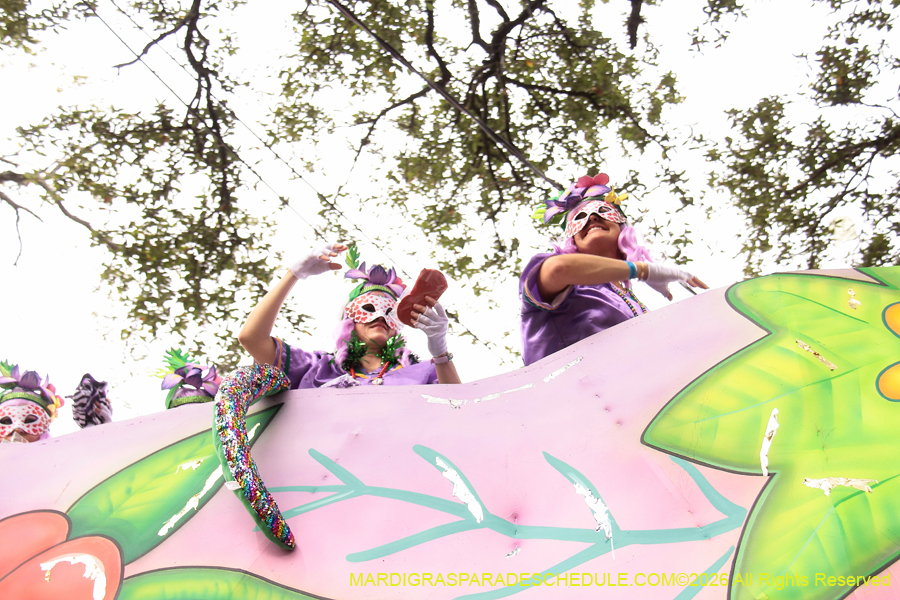 Krewe-of-Iris-2026-6968