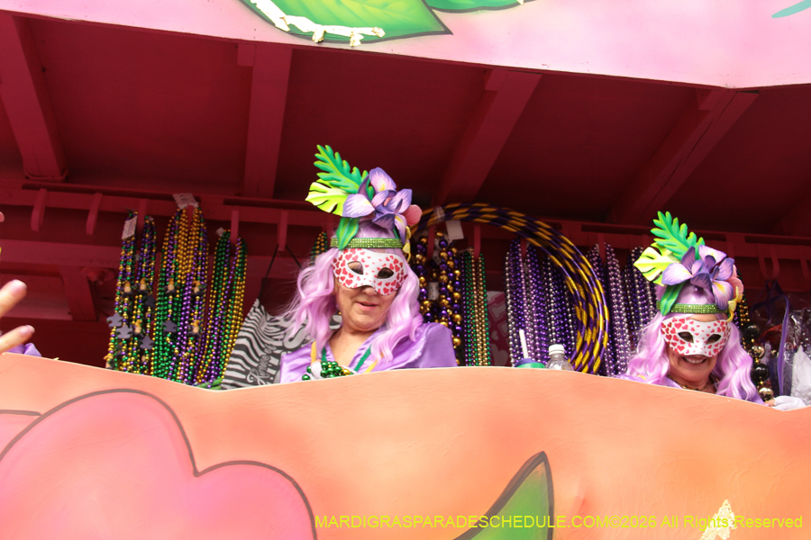 Krewe-of-Iris-2026-6969