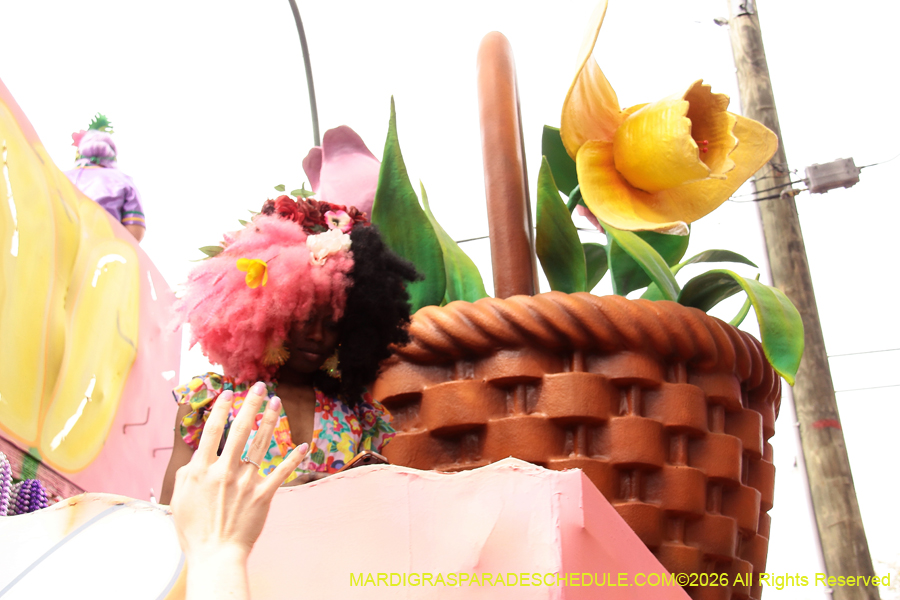 Krewe-of-Iris-2026-6970