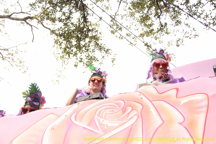 Krewe-of-Iris-2026-6971