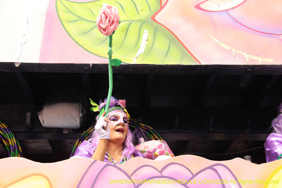 Krewe-of-Iris-2026-6972