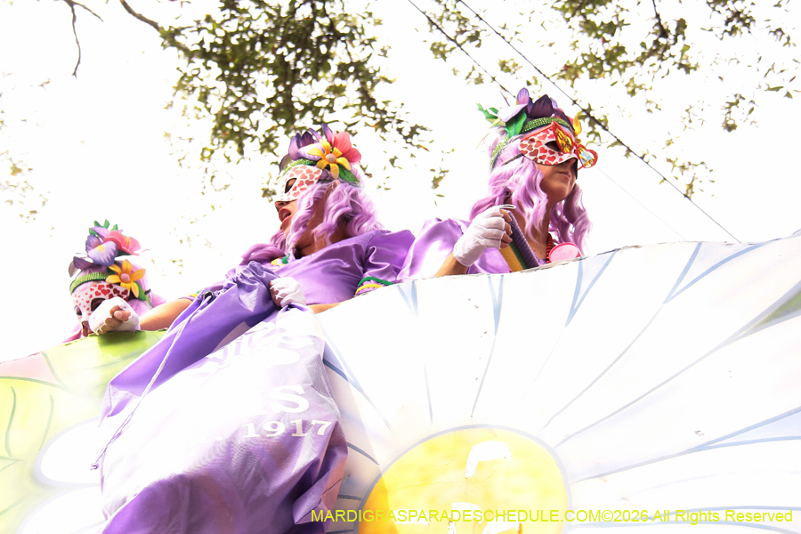 Krewe-of-Iris-2026-6974