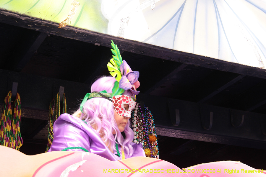 Krewe-of-Iris-2026-6975