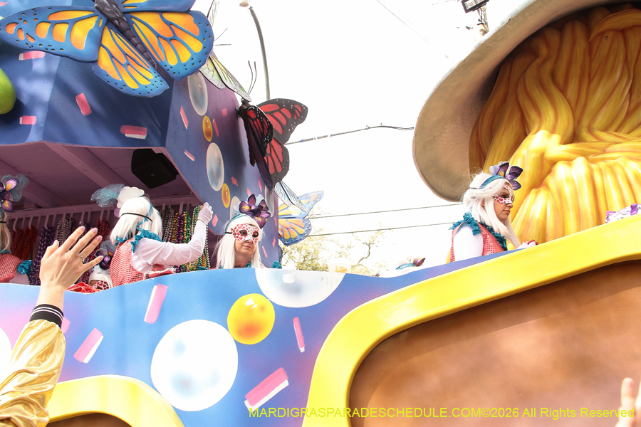 Krewe-of-Iris-2026-6980