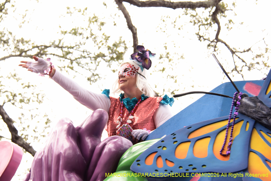 Krewe-of-Iris-2026-6988