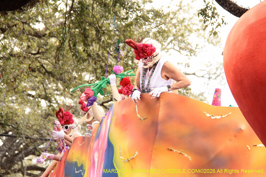 Krewe-of-Iris-2026-6994