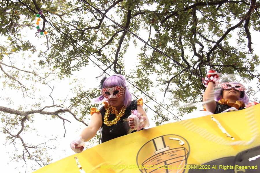 Krewe-of-Iris-2026-7015