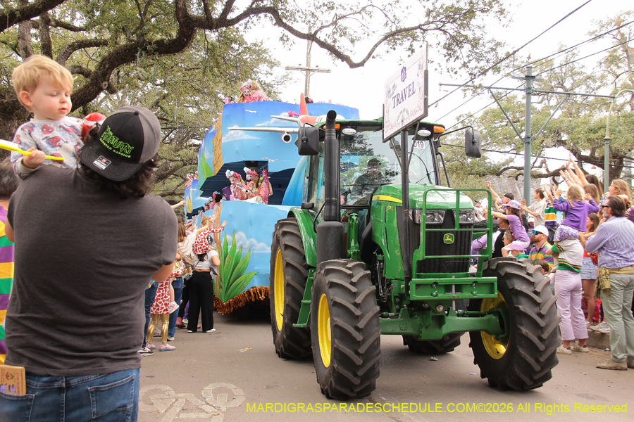 Krewe-of-Iris-2026-7020