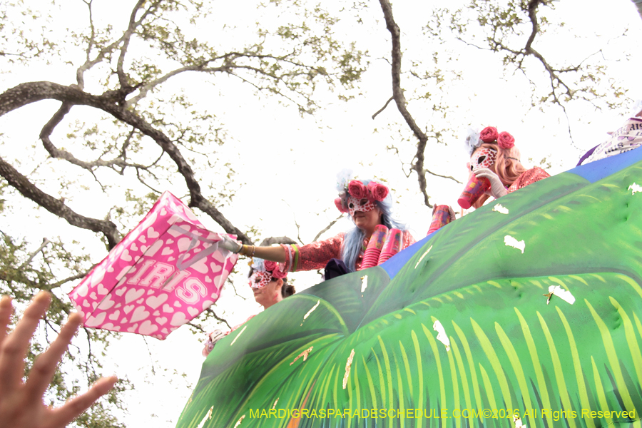 Krewe-of-Iris-2026-7023