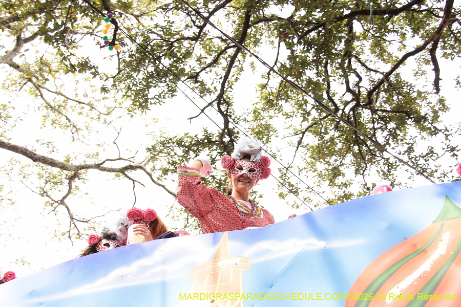 Krewe-of-Iris-2026-7027