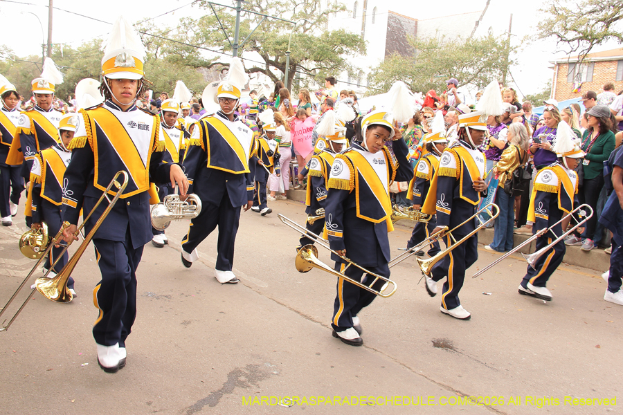 Krewe-of-Iris-2026-7053