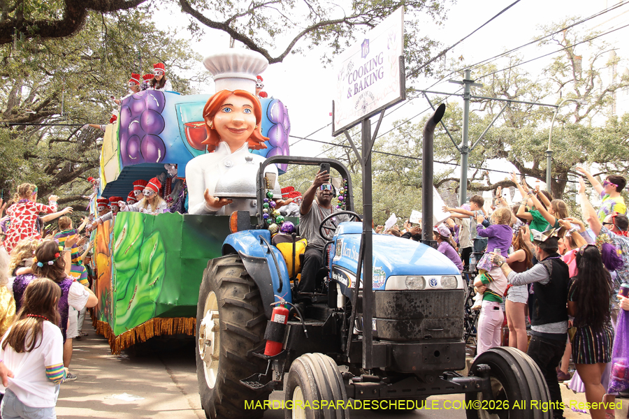 Krewe-of-Iris-2026-7067