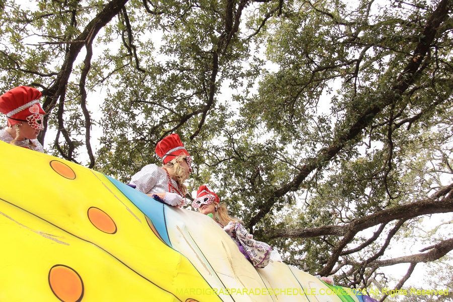 Krewe-of-Iris-2026-7073