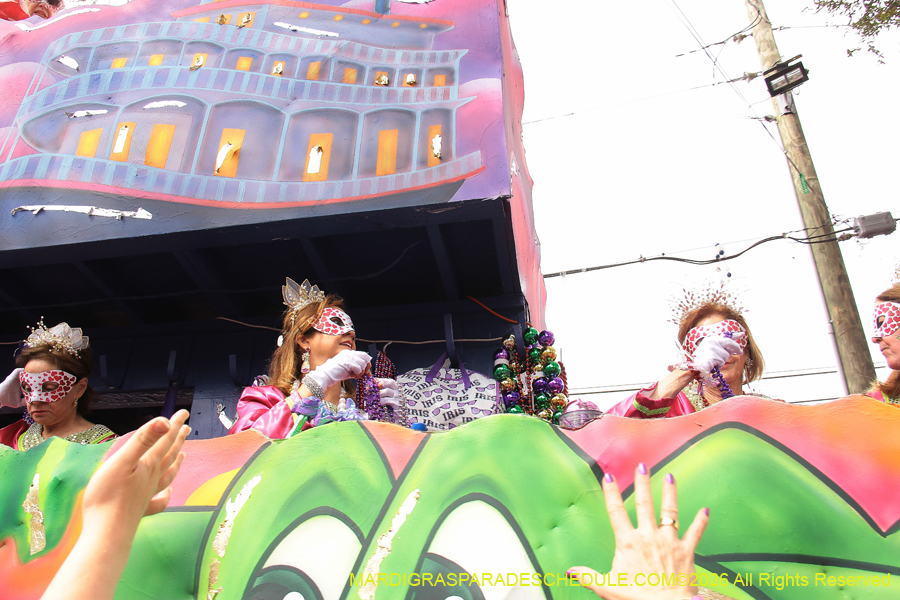 Krewe-of-Iris-2026-7087