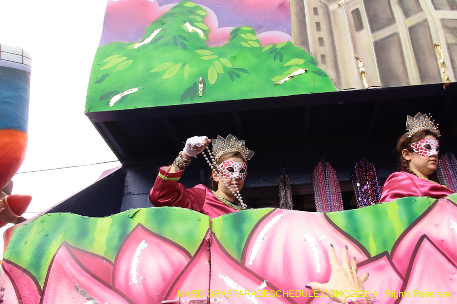 Krewe-of-Iris-2026-7091