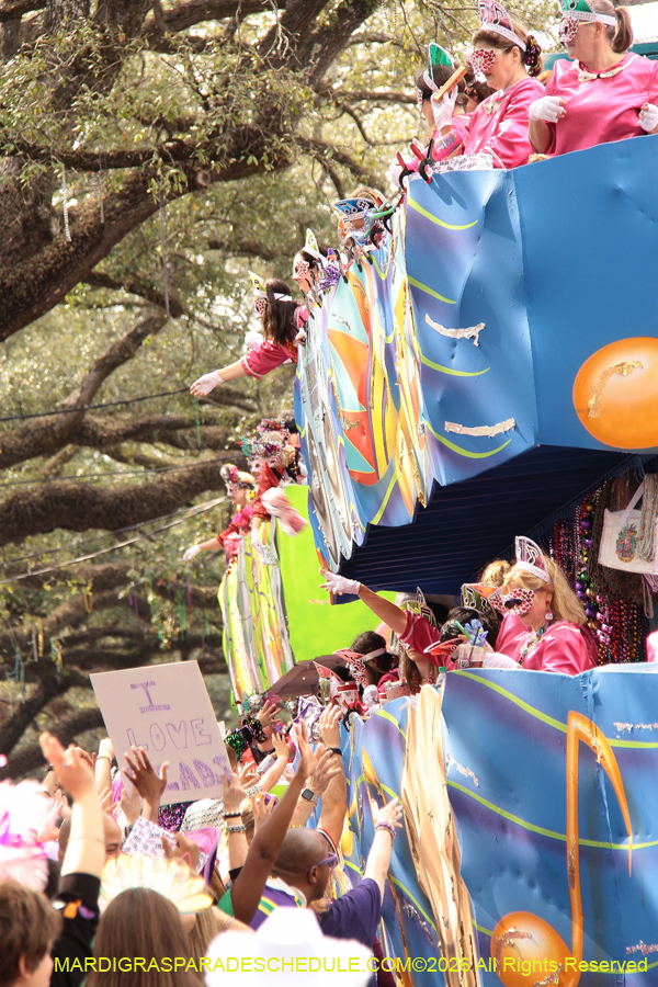 Krewe-of-Iris-2026-7118