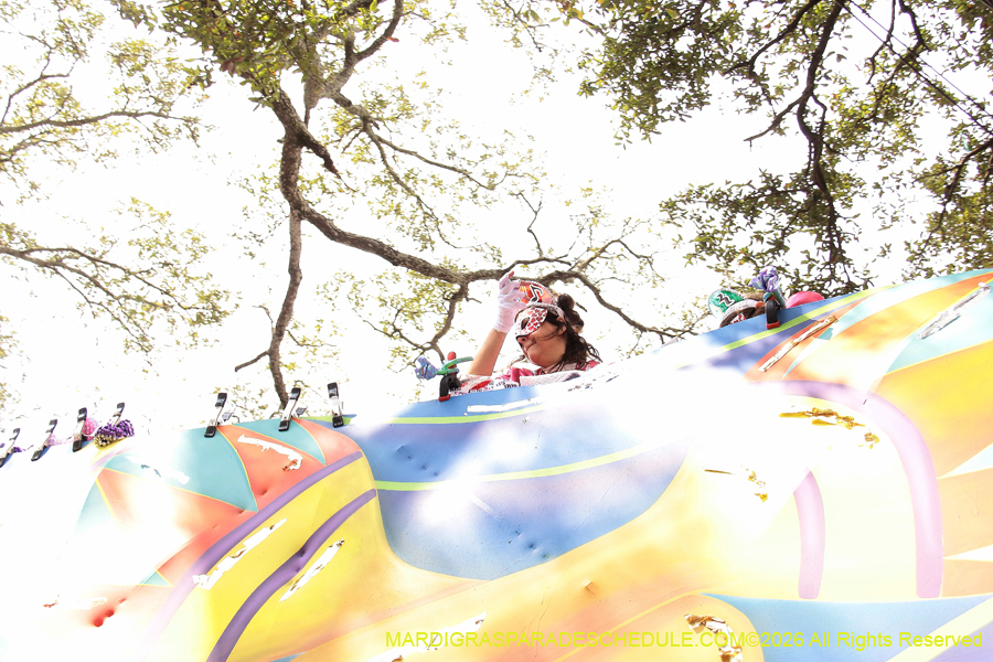 Krewe-of-Iris-2026-7122