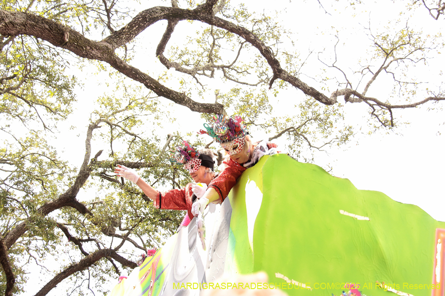 Krewe-of-Iris-2026-7127