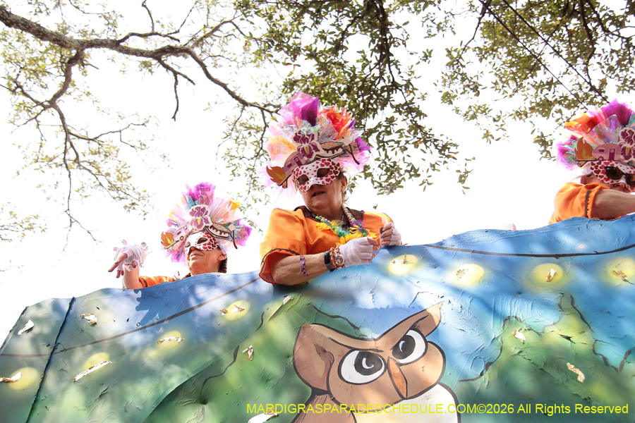 Krewe-of-Iris-2026-7142