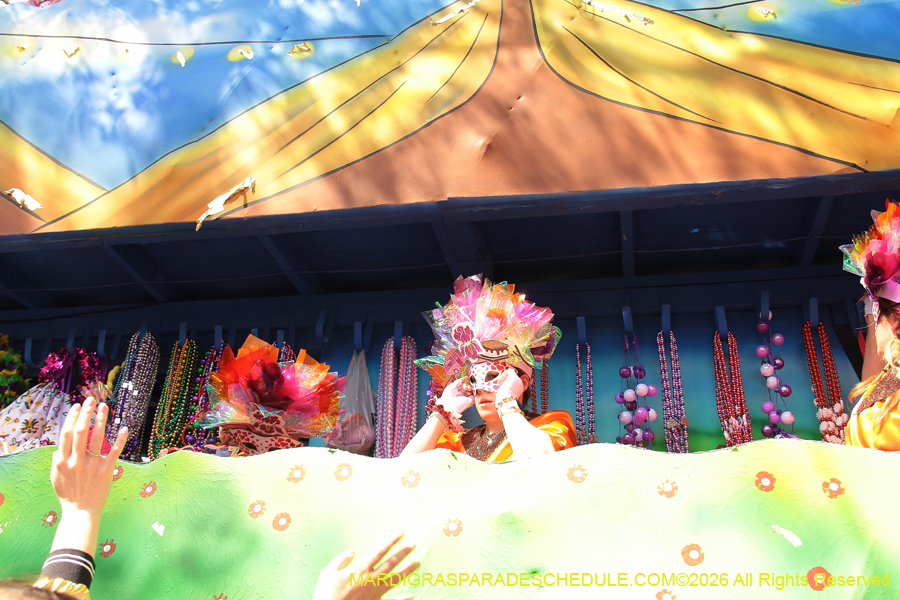 Krewe-of-Iris-2026-7145