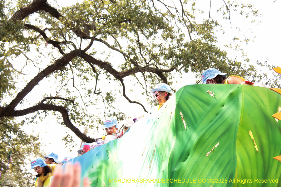 Krewe-of-Iris-2026-7154