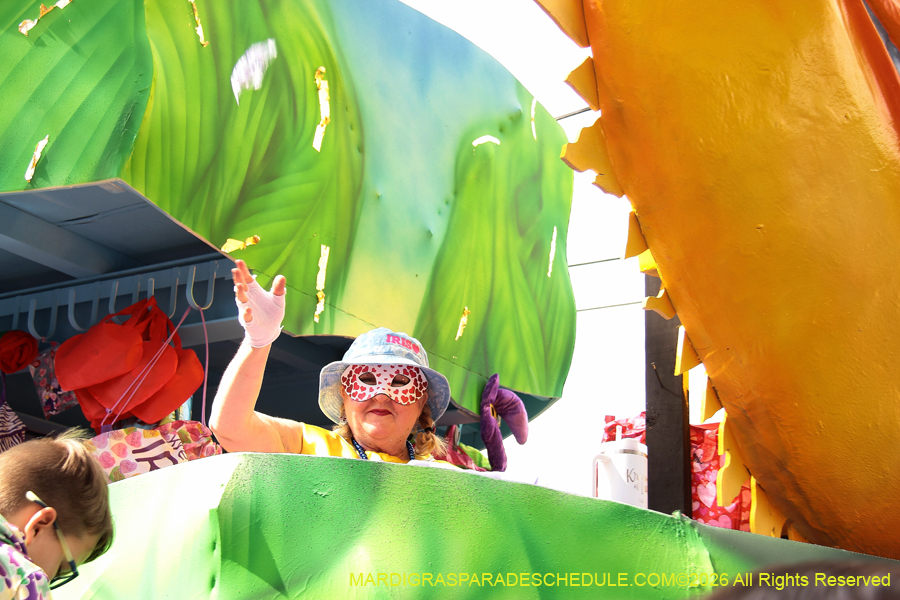 Krewe-of-Iris-2026-7155