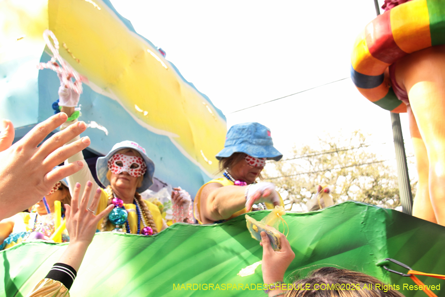 Krewe-of-Iris-2026-7164