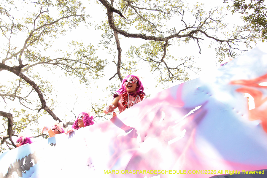 Krewe-of-Iris-2026-7196