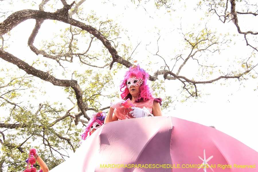 Krewe-of-Iris-2026-7200