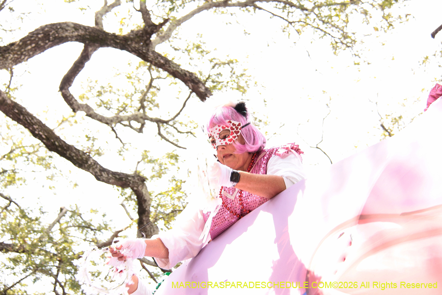 Krewe-of-Iris-2026-7212