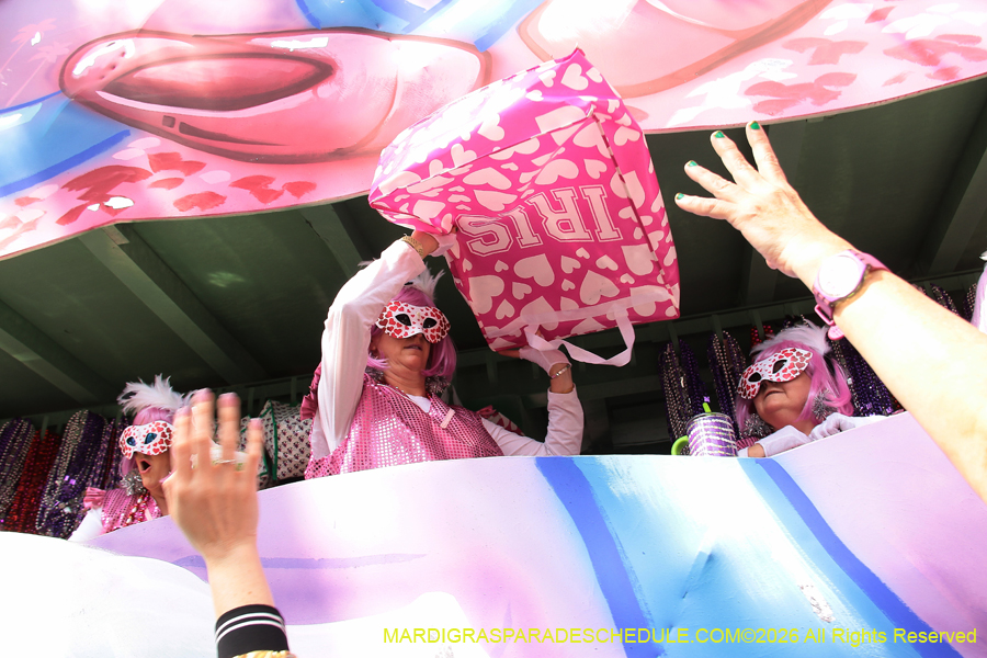 Krewe-of-Iris-2026-7213