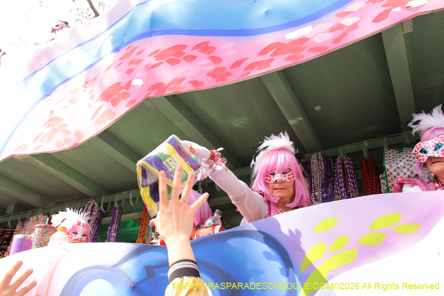 Krewe-of-Iris-2026-7214