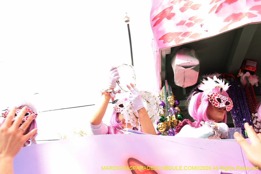 Krewe-of-Iris-2026-7216