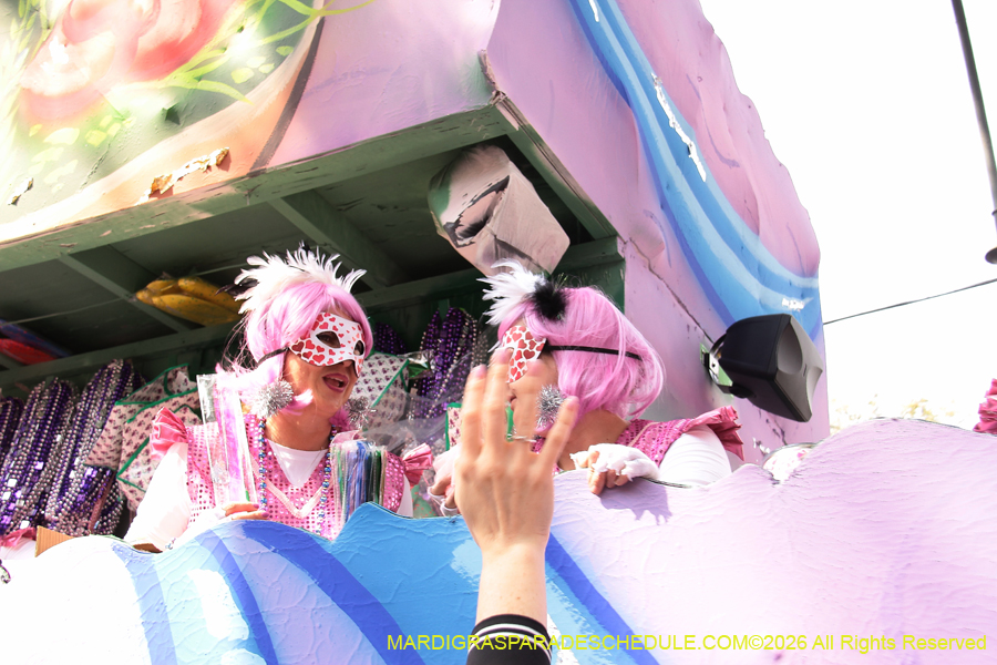 Krewe-of-Iris-2026-7217