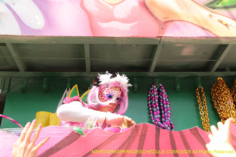 Krewe-of-Iris-2026-7219