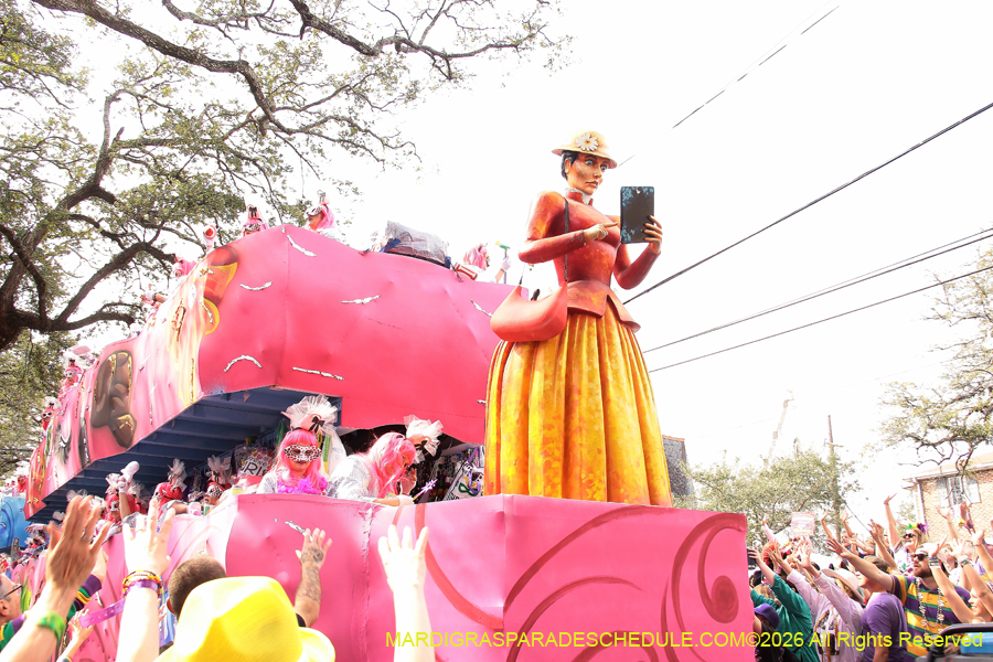 Krewe-of-Iris-2026-7223
