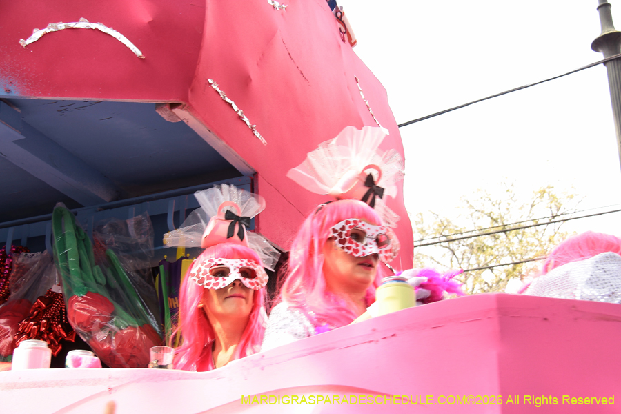 Krewe-of-Iris-2026-7224