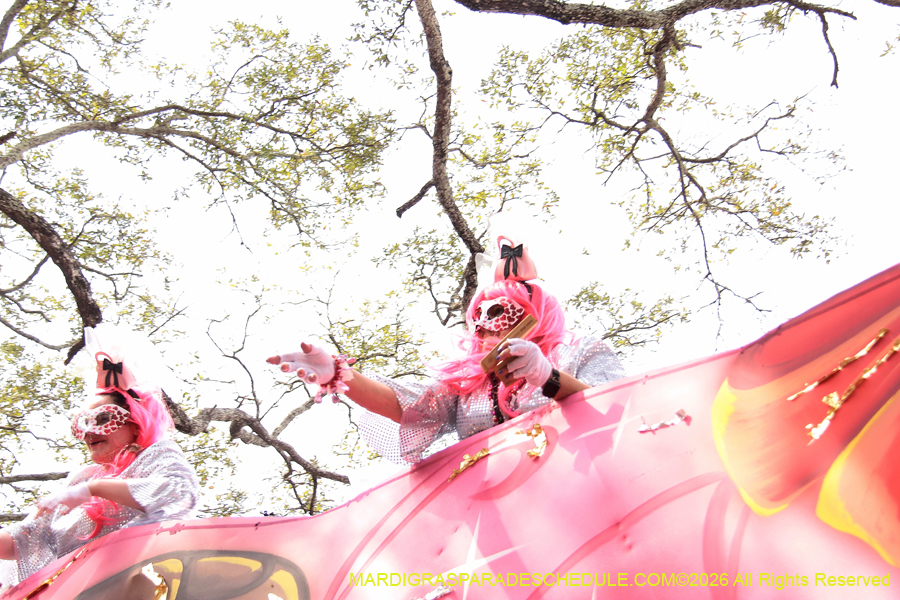 Krewe-of-Iris-2026-7225