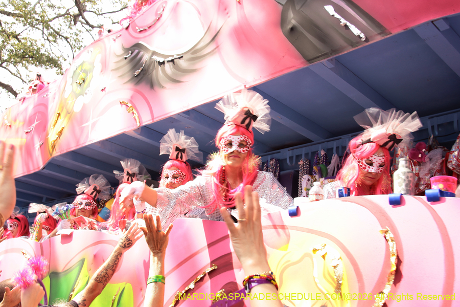 Krewe-of-Iris-2026-7227