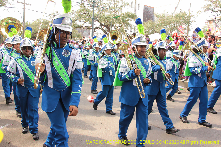 Krewe-of-Iris-2026-7240