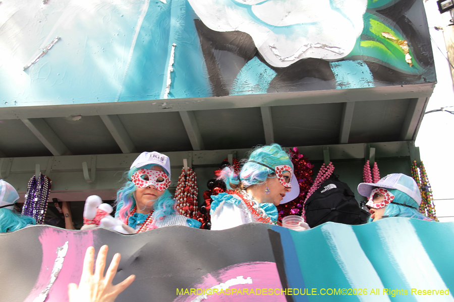 Krewe-of-Iris-2026-7245