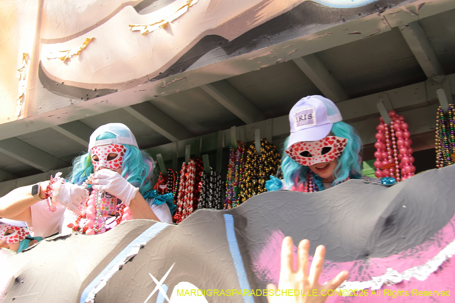 Krewe-of-Iris-2026-7248