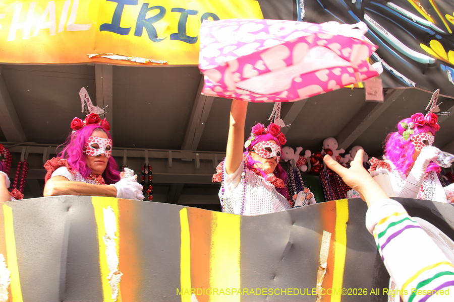 Krewe-of-Iris-2026-7254