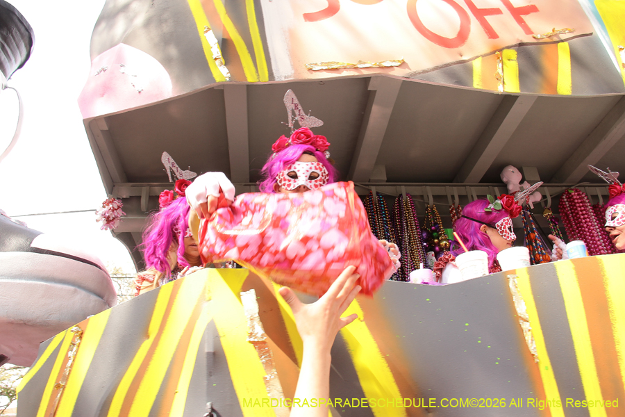 Krewe-of-Iris-2026-7256