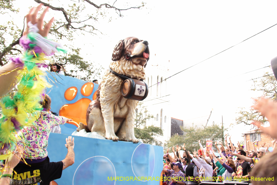 Krewe-of-Iris-2026-7269