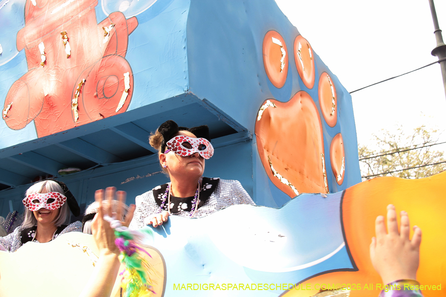 Krewe-of-Iris-2026-7271